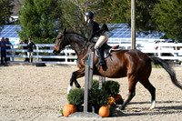 HSM_2683