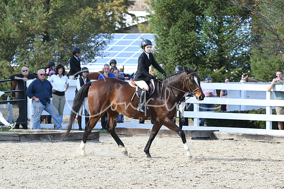 HSM_2693