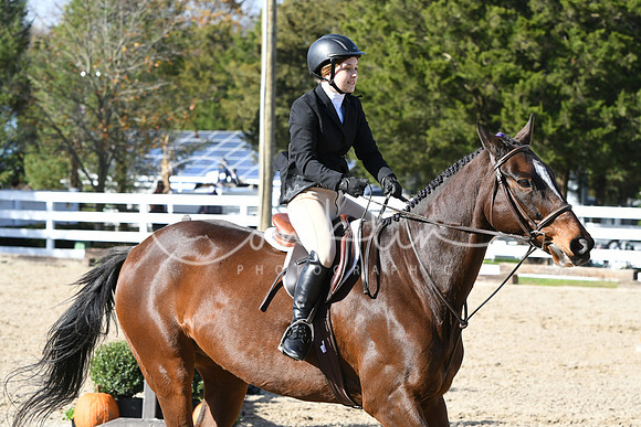 HSM_2739