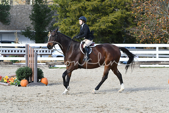 HSM_2741