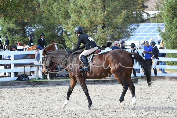 HSM_2743