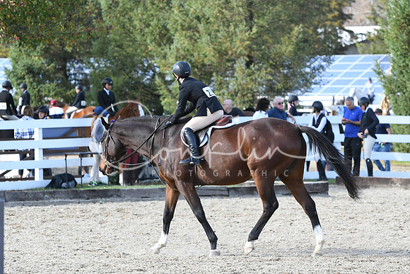 HSM_2744