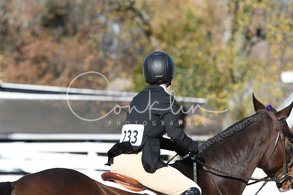 HSM_2931