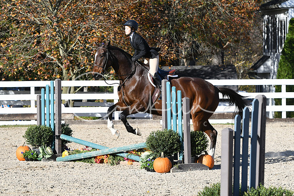 HSM_2932