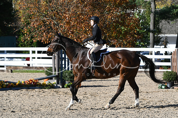 HSM_2933