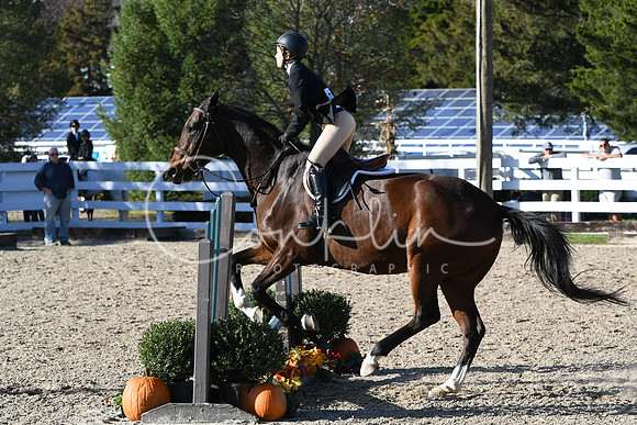 HSM_2934