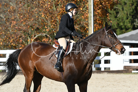 HSM_2937
