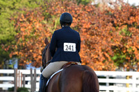 HSM_1034