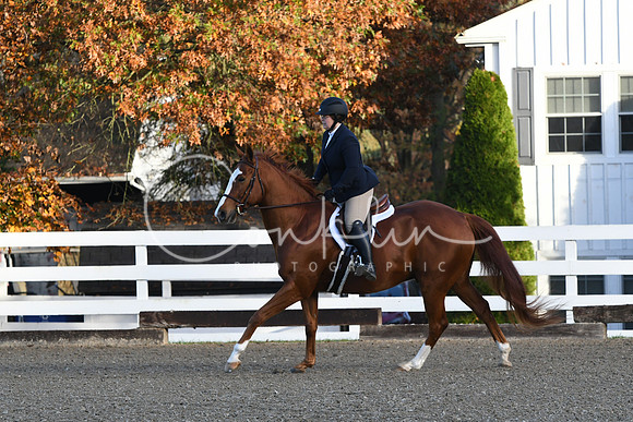 HSM_1037