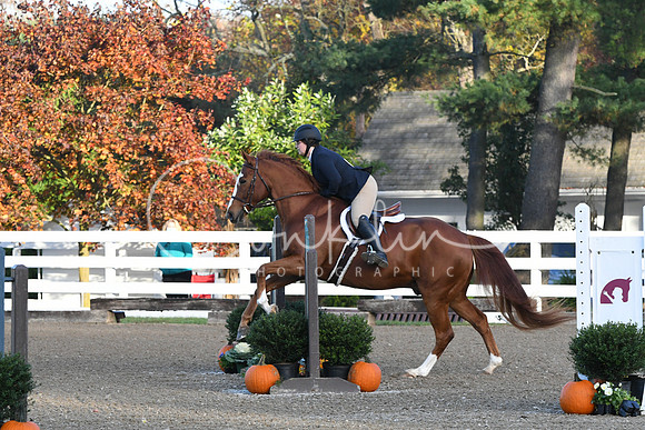 HSM_1039
