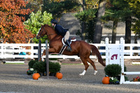 HSM_1075