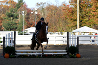HSM_1078
