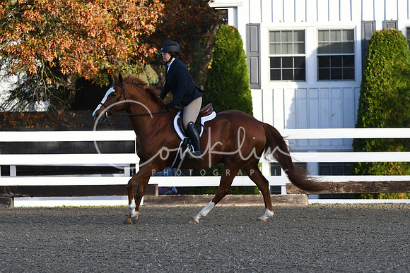 HSM_1074
