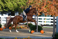 HSM_1107