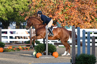 HSM_1082