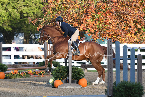 HSM_1082