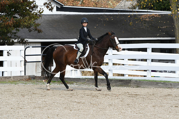 HSM_2451