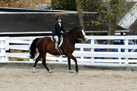 HSM_2452