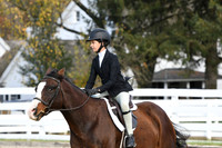 HSM_2454
