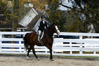 HSM_2453