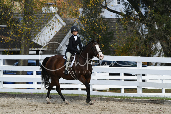 HSM_2453