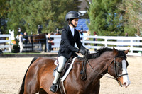 HSM_2458
