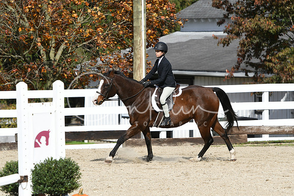 HSM_2460