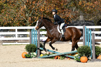 HSM_2461