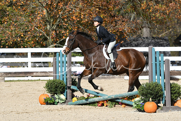 HSM_2461