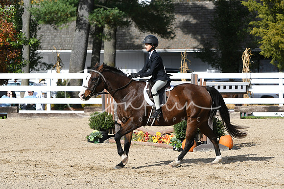 HSM_2462