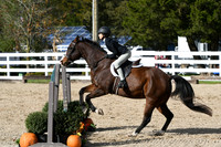 HSM_2463