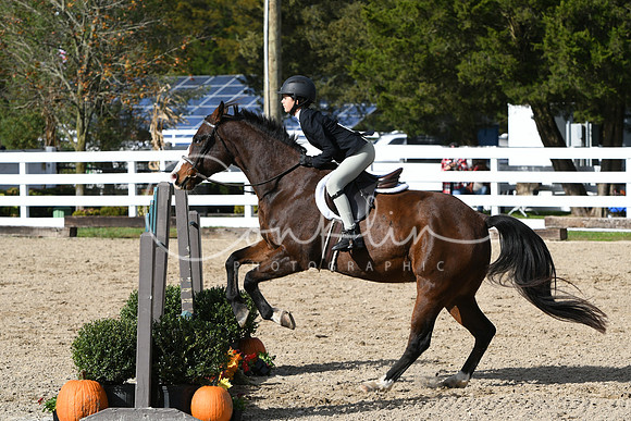 HSM_2463