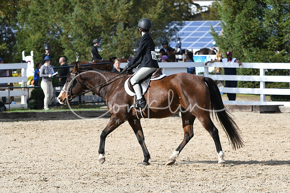 HSM_2464
