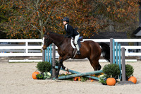 HSM_2539