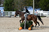 HSM_2541