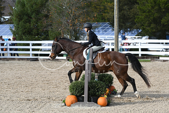 HSM_2541