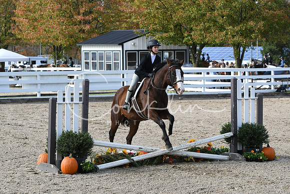 HSM_2545