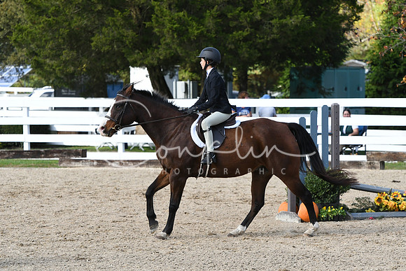 HSM_2549