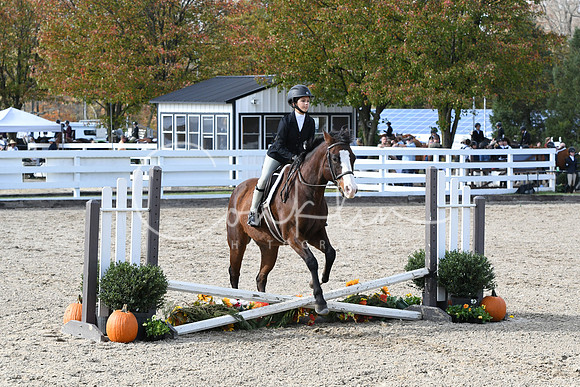 HSM_2605