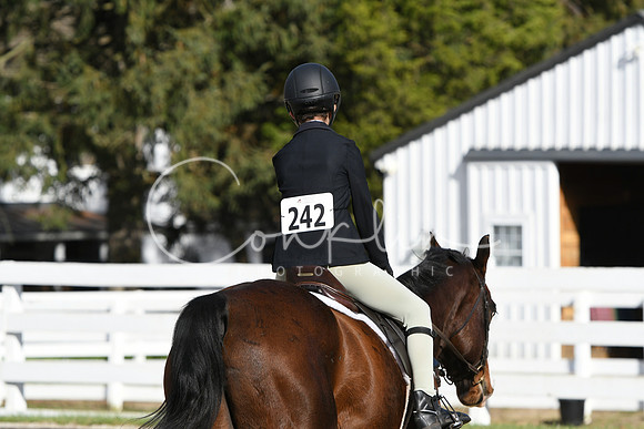 HSM_2608