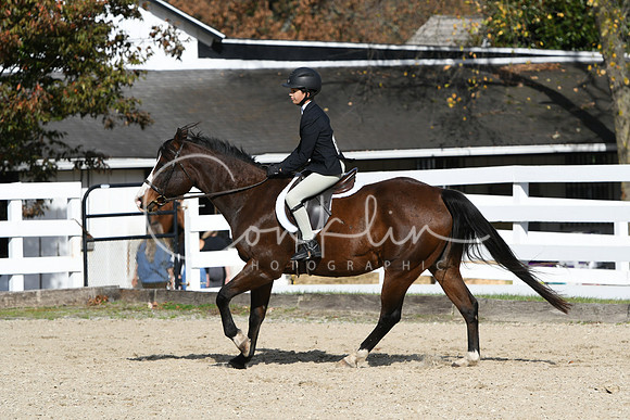 HSM_2609