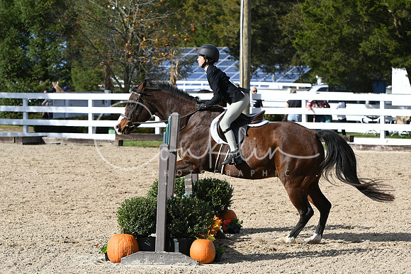 HSM_2613