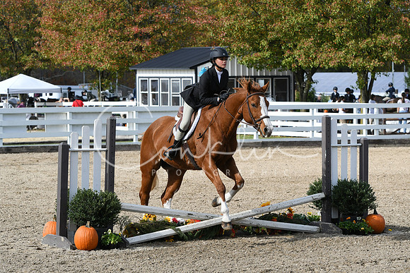 HSM_2181