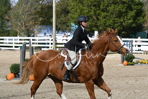 HSM_2182