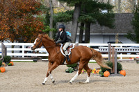 HSM_2185