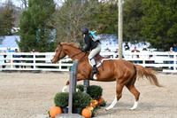 HSM_2186