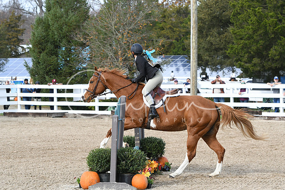 HSM_2186