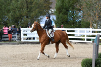 HSM_2187