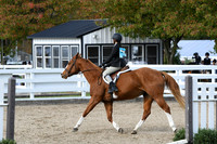 HSM_2189