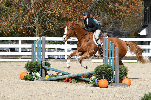 HSM_2255